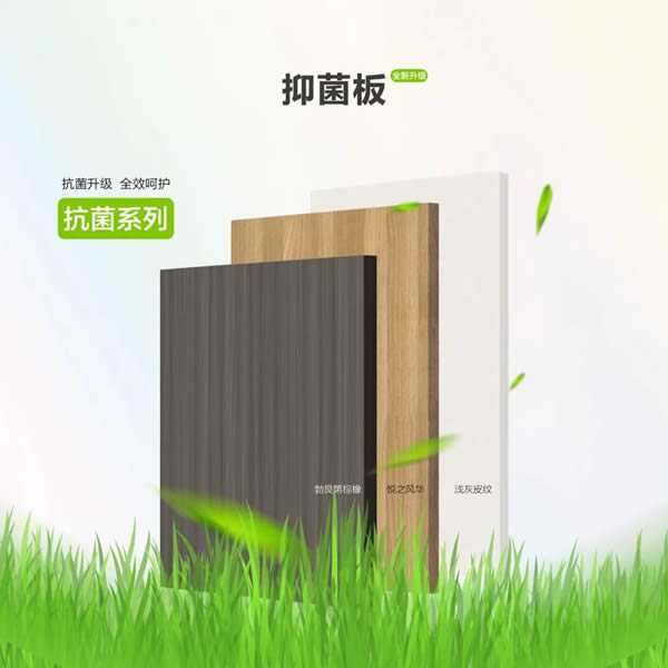 海爾全屋家居抑菌板丨權(quán)威認(rèn)證,環(huán)保抑菌守護(hù)健康家 海爾全屋家居抑菌板丨權(quán)威認(rèn)證,環(huán)保抑菌守護(hù)健康家