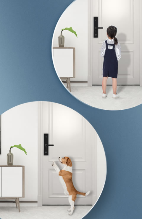 一篇搞定!天能智能鎖使用全攻略 一篇搞定!天能智能鎖使用全攻略