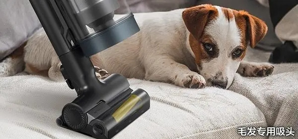 AWE即將揭幕!AI爆發(fā)能否改變家電行業(yè)走向 AWE即將揭幕!AI爆發(fā)能否改變家電行業(yè)走向