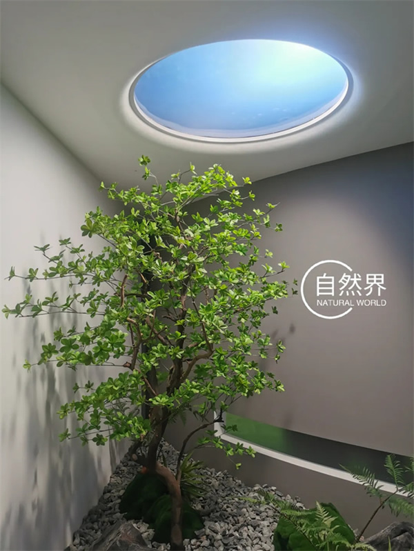 自然界太陽燈：點亮你的廚房與衛生間，模擬日升日落的奇妙之旅