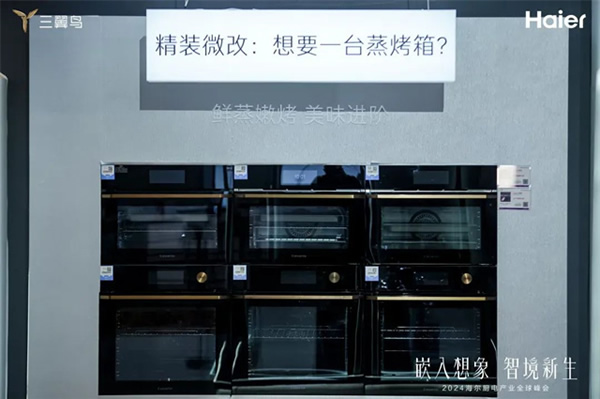 海爾廚電:中國首個超千萬臺的品牌 海爾廚電:中國首個超千萬臺的品牌
