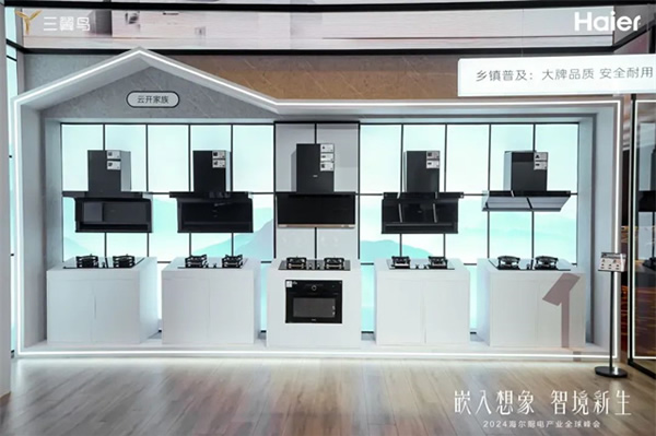 海爾廚電:中國首個超千萬臺的品牌 海爾廚電:中國首個超千萬臺的品牌