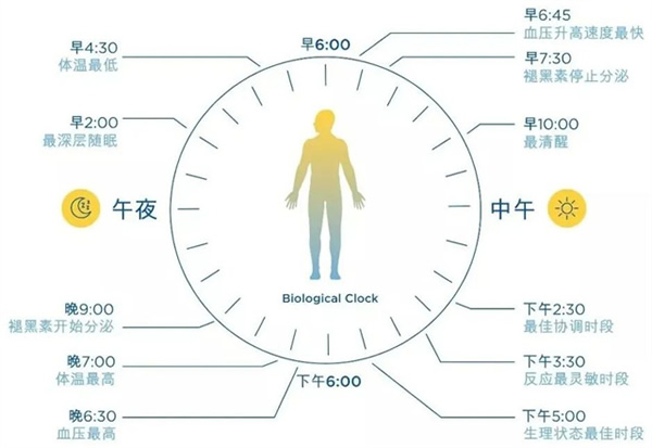 光線與晝夜節律 | 科學打造健康生物鐘的照明環境 光線與晝夜節律 | 科學打造健康生物鐘的照明環境