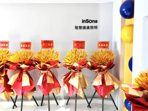 乘風破浪 揚帆啟航 | inSona重慶駐點正式開業(yè)