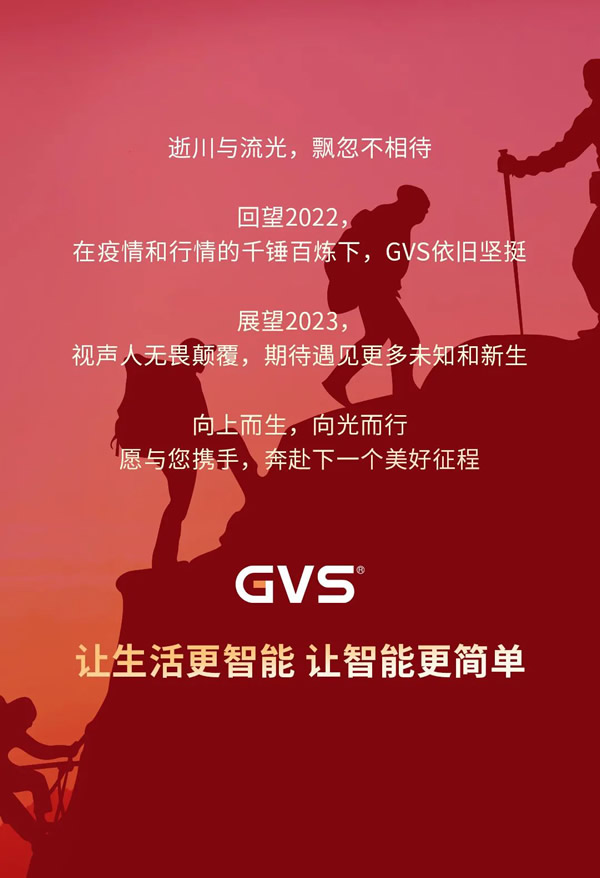 GVS視聲智能的2022“數”職報告，請查收！