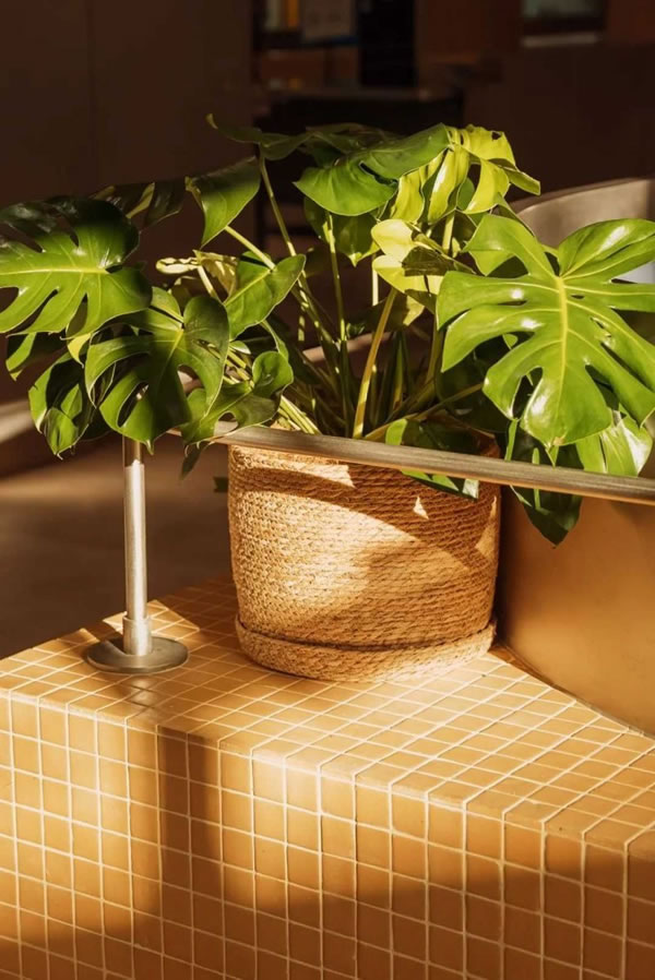 控客全屋智能案例分享｜以智慧燈光點(diǎn)燃CBD餐廳溫情_(kāi)5