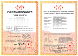 權威認證!德施曼智能鎖斬獲迪拜極端環境認證