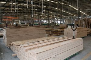 2019藝龍木門(mén)