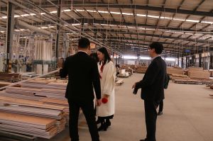 2019藝龍木門(mén)