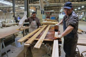 2019藝龍木門(mén)