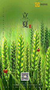 數拓科技立夏節氣圖