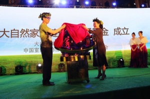 “愛基金”成立