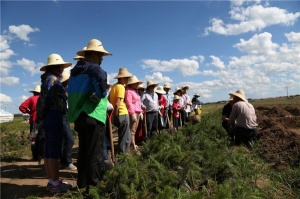 百德帶領大家伙植樹